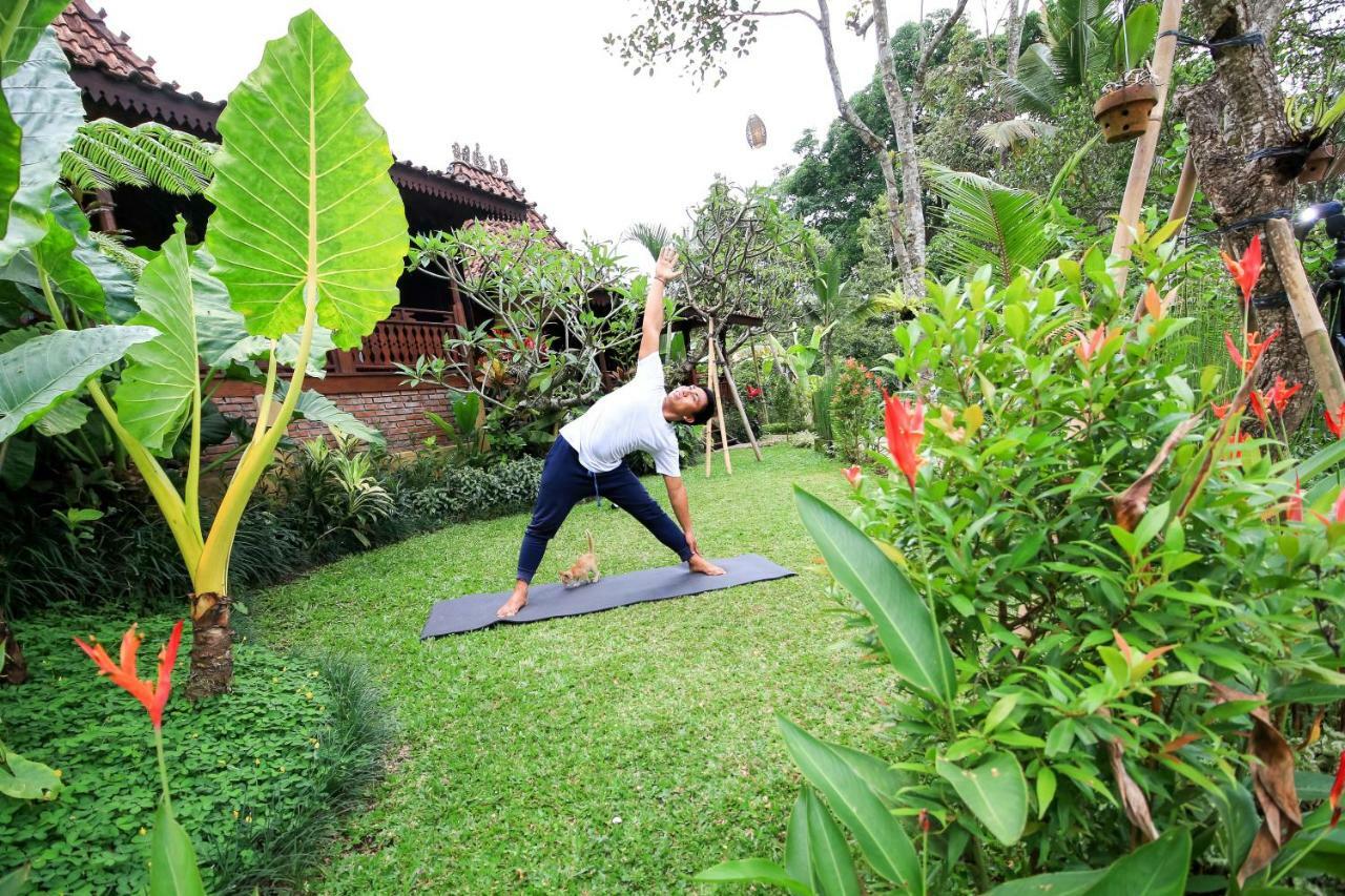 Villa Be Bali Hut Farm Stay Ubud Zewnętrze zdjęcie